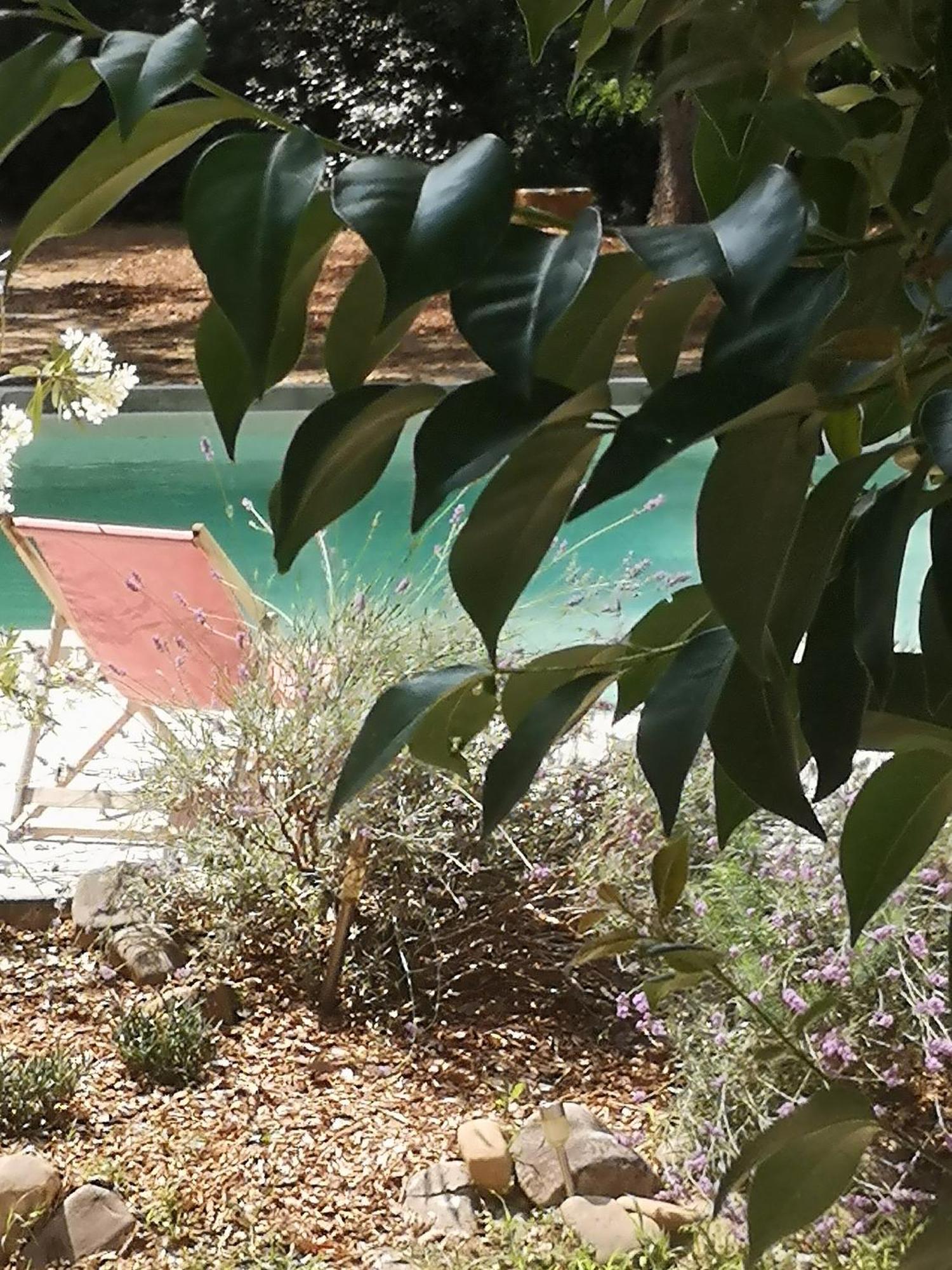 B&B Maison Felisa Sabran Dış mekan fotoğraf